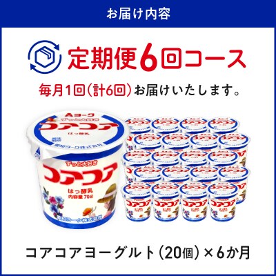 【6ヶ月定期便】愛知ヨーク コアコアヨーグルト 20個入[108A02-T]