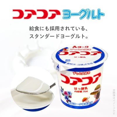 【3ヶ月定期便】愛知ヨーク コアコアヨーグルト 20個入[108A01-T]