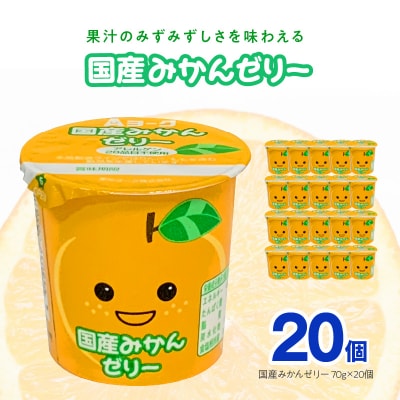 愛知ヨーク 国産みかんゼリー 20個入[108A03]