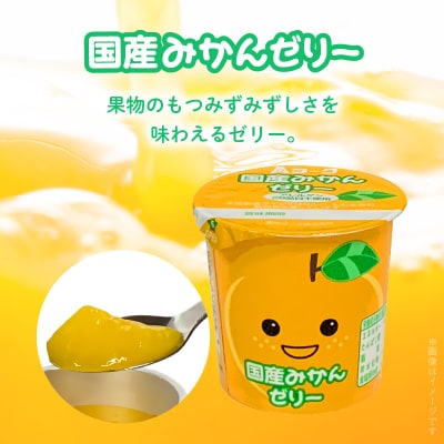 愛知ヨーク 国産みかんゼリー 20個入[108A03]