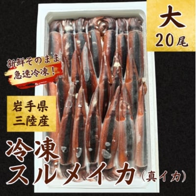【鮮度そのまま急速冷凍】冷凍スルメイカ 大サイズ 20尾入