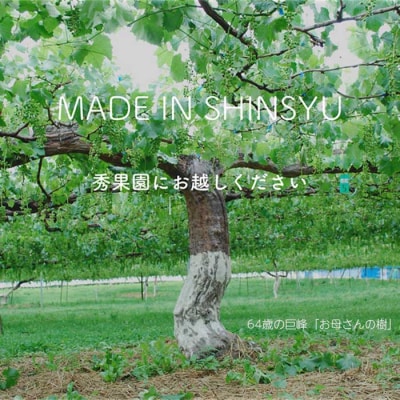 【秀果園】早摘み巨峰のジュースと完熟巨峰のジュースのセット