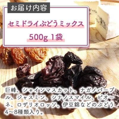 【秀果園】ぶどう農家のセミドライぶどうミックス500g ×1袋