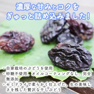 【秀果園】ぶどう農家のセミドライぶどうミックス500g ×1袋