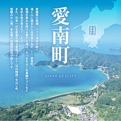 海鮮 漬け丼 セット 計8パック (4種×2パック) 愛媛県 愛南町 南予ビージョイ