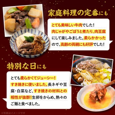 【全6回定期便】博多和牛 切り落とし 1kg (500g×2P)【幸栄物産】 [ABH015]  