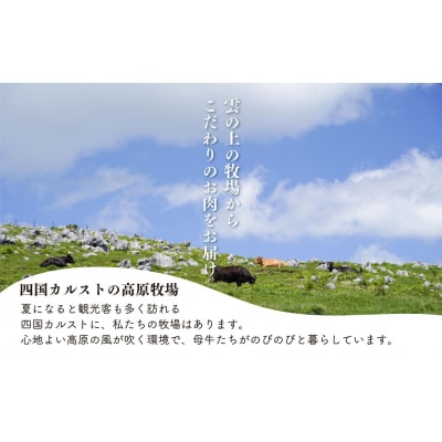 四国カルスト高原で育ったゆすはら牛切り落とし 300g