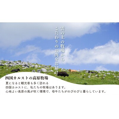 四国カルスト高原で育ったゆすはら牛切り落とし 500g