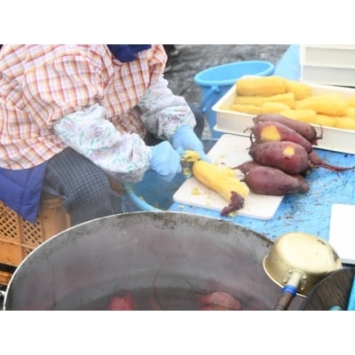 富士山麓 干し芋 160g×2袋