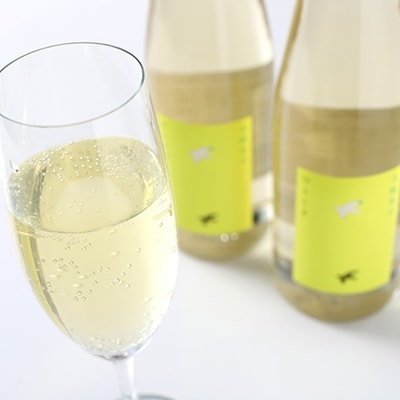 釧路福司「スパークリング清酒」500ml2本入 ふるさと納税 酒 F4F-0525