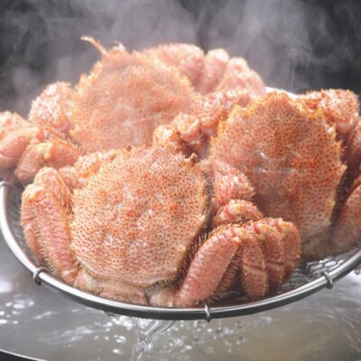 北海道産 ボイル毛蟹 3尾 1.0kg ふるさと納税 かに 蟹 F4F-5332