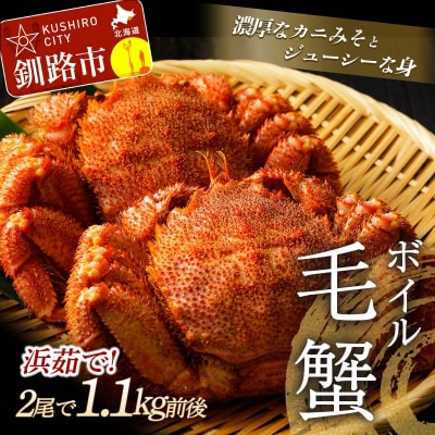 【浜茹で!】ボイル毛がに 2尾で900g前後(北海道産/加工地 釧路) かに 蟹 F4F-5339