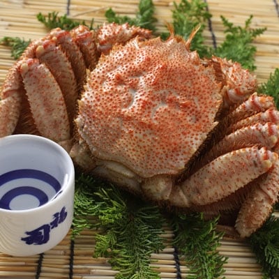 釧路福司「鶴」本醸造と毛蟹のセット ふるさと納税 酒 かに F4F-0537