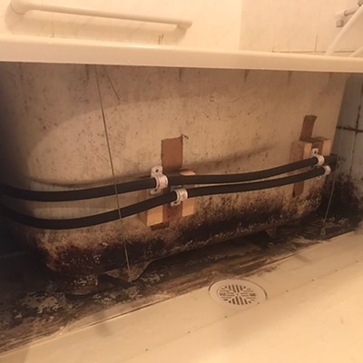 掃除のプロによる「真心こめたハウスクリーニングサービス」 クリーニング F4F-0982