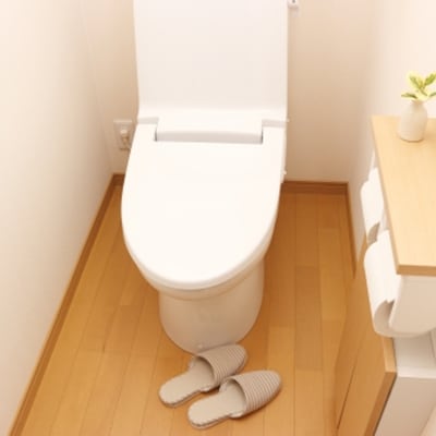 掃除のプロによる「真心こめたハウスクリーニングサービス」 クリーニング F4F-0976