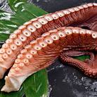 大たこ(刺身用) 1kg～1.2kg×2本 ふるさと納税 たこ F4F-1727