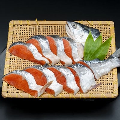 紅鮭切身(半身) ふるさと納税 鮭 F4F-0665