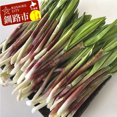 釧路産・天然 鮮度そのまま行者にんにく 250g×2 F4F-0539