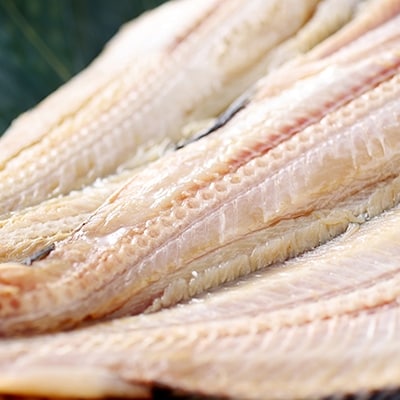 釧路福司 北海道のお米で造った特別純米酒とお魚のセット ふるさと納税 酒 魚 F4F-0532