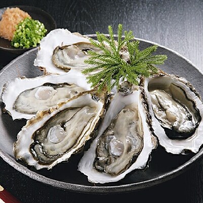 【ぷりっぷりで濃厚!】釧路管内産【活】牡蠣(特大)8個 ふるさと納税 牡蠣 F4F-0611