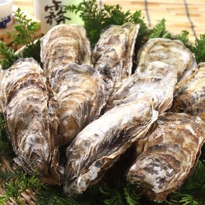 釧路 福司酒造・北海道米使用の日本酒 海霧と牡蠣(中)10個のセット 酒 牡蠣 F4F-5288