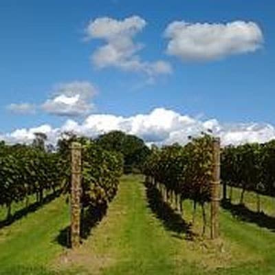 【数量限定】天空の里 光姫 阿寒産ぶどうジュース 750ml 無添加 山幸 F4F-0986