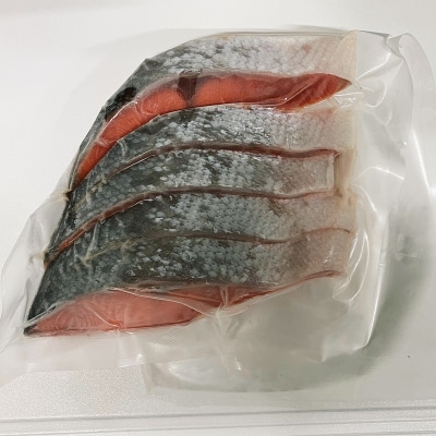 紅さけ姿造り 塩 ふるさと納税 鮭 F4F-1162