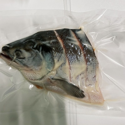 紅さけ姿造り 塩・粕 ふるさと納税 鮭 F4F-1163