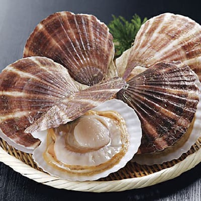 【北海道から直送!!】殻付活ホタテ貝(4.0kg詰)13～20枚入 ほたて F5F-0119