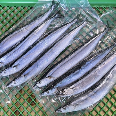 釧路産・急速冷凍 【特大】生サンマ(4尾入×2) 生サンマ さんま F4F-0341