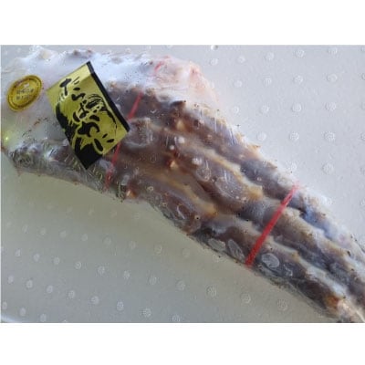 焼きガニ用 生冷凍本タラバカニ脚800g×1 ふるさと納税 かに 蟹 F4F-4788