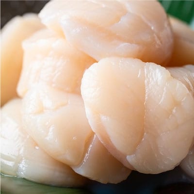 北海道産・お刺身用ホタテ玉冷凍【L】500g ふるさと納税 ほたて 帆立 F4F-7826