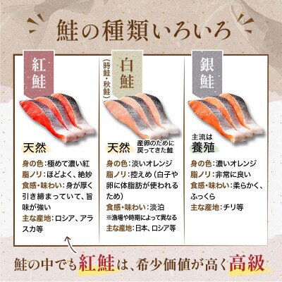 〔特選〕北洋紅鮭切り身 4切入り200g×5袋 ふるさと納税 魚 F4F-1728