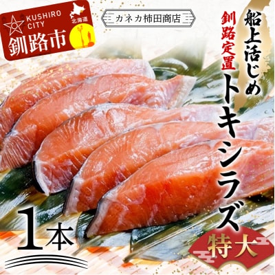 新もの 船上活じめ 釧路 定置 トキシラズ 1本 ふるさと納税 鮭 サケ 魚 F4F-8390