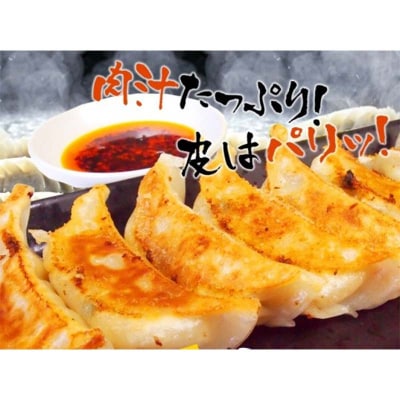 餃子65個 13個×5 中華料理専門店 手作り 肉汁 ぎょうざ 惣菜 おかず F4F-2420