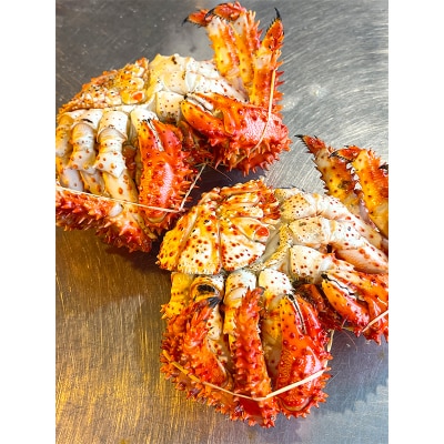 【茹でたて未冷凍】北海道産・ボイル花咲蟹2尾で1.0～1.2kg 花咲 釧路 海鮮 F4F-4789