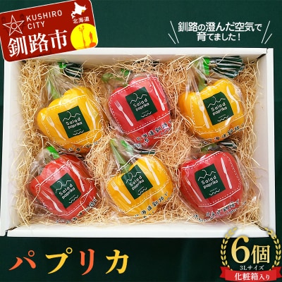 【5月より順次発送】 パプリカ 3Lサイズ×6個 野菜 サラダ 北海道野菜 生野菜 F4F-2276