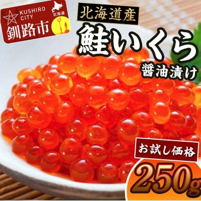 《 お試し価格 数量限定 》北海道産 鮭 いくら 醤油漬け 250g 北海道 釧路 F4F-1608