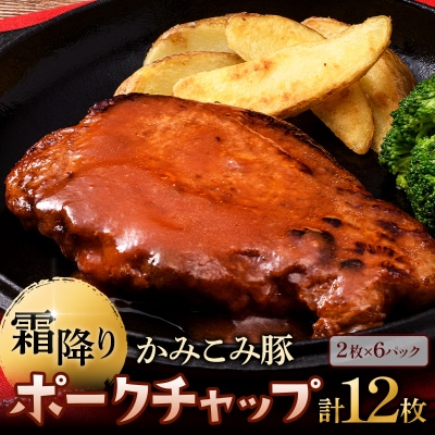 かみこみ豚のポークチャップ 200g×2枚×6パック 計12枚 合計 2.4kg F4F-2363