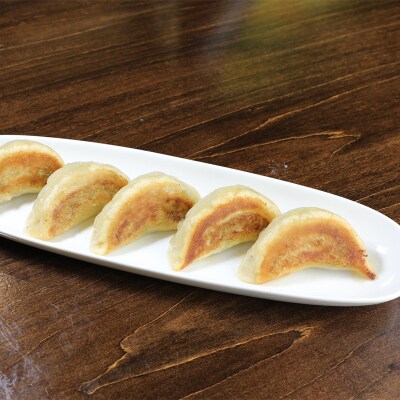 肉餃子45個(15個×3) 冷凍餃子 ギョーザ ぎょうざ 中華 冷凍食品 惣菜 F4F-4046