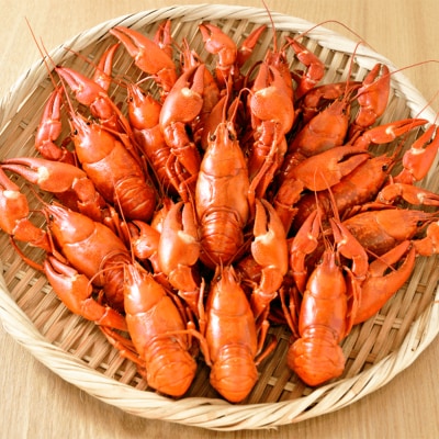 【唯一無二】レイクロブスタースープ 160g×3 スープ ロブスター 簡単 魚介 F4F-2567