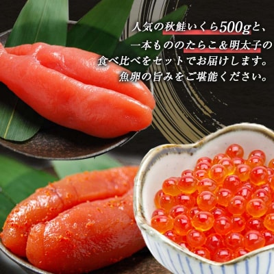 魚卵セット(1) いくら たらこ 明太子一本もの 食べ比べ 魚卵 ご飯のお供 F4F-5649