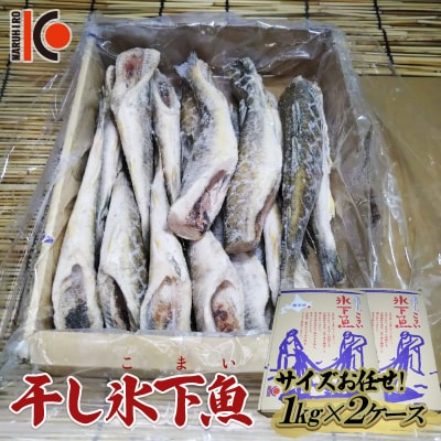 干し氷下魚(サイズお任せ)1kg×2ケース こまい コマイ 魚 白身魚 おつまみ F4F-2597