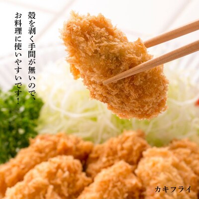 牡蠣の剥き身 合計1.0kg 500g×2パック F4F-2991