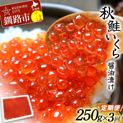 【3か月連続定期便】北海道産新物秋鮭いくら醤油漬け 250g×3回 海鮮 F4F-6157