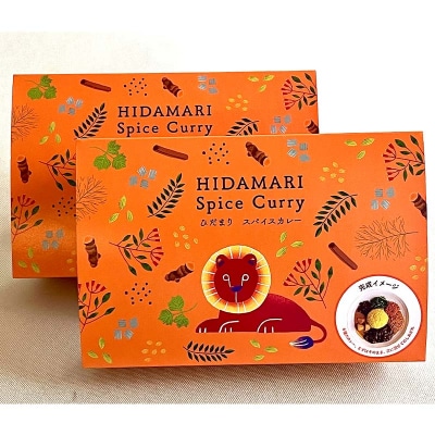 【3ヶ月連続定期便】 ひだまり薬膳スパイスカレー 2個 冷凍 薬膳 カレー F4F-4365