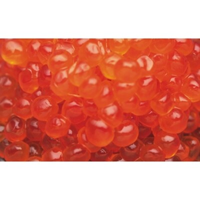 いくら醤油漬500g ふるさと納税 いくら F4F-1025