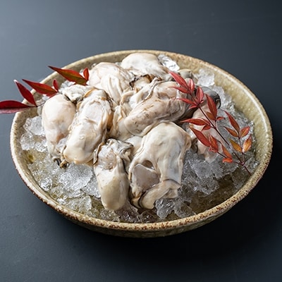 【ぷりっぷりで濃厚!剥きたて発送!!】釧路管内産・剥き牡蠣500g×2 かき 牡蠣 F4F-0623