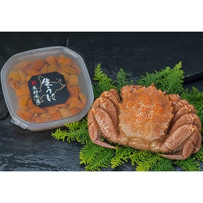 ボイル毛ガニ400g×1尾&塩水うに100g F4F-5335