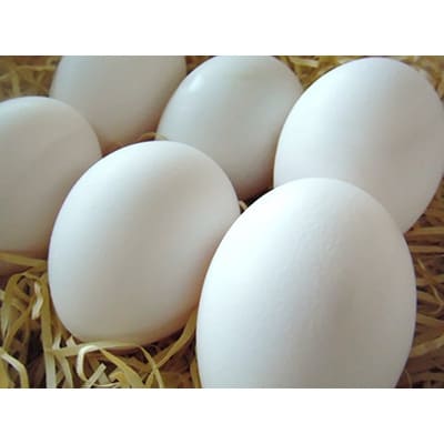 無添加ハーブエッグぶっかけ究極のTkg産みたて新鮮タマゴ ふるさと納税 卵 F4F-0797